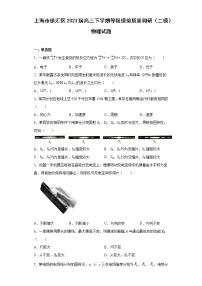 上海市徐汇区2023届高三下学期等级模拟质量调研（二模）物理试题（原卷+解析）