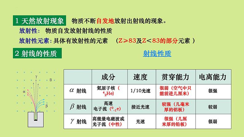 5.2 放射性元素的衰变 课件 高二下学期物理人教版（2019）选择性必修第三册 (2)第3页