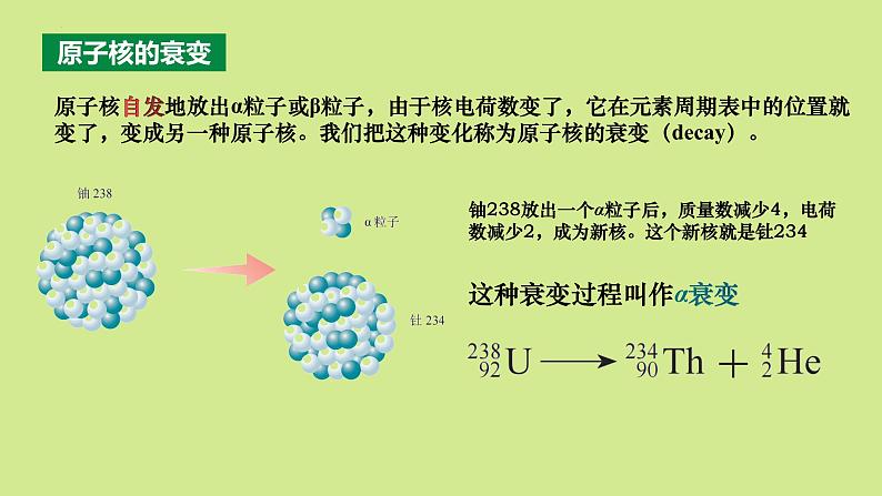 5.2 放射性元素的衰变 课件 高二下学期物理人教版（2019）选择性必修第三册 (2)第4页