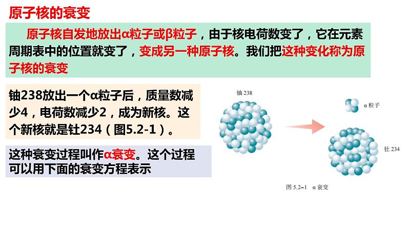 5.2 放射性元素的衰变课件 高二下学期物理人教版（2019）选择性必修第三册第3页