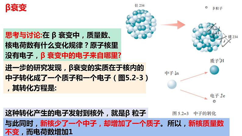 5.2 放射性元素的衰变课件 高二下学期物理人教版（2019）选择性必修第三册第6页