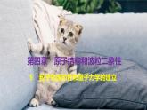4.5 粒子的波動性和量子力學(xué)的建立課件 高二下學(xué)期物理人教版（2019）選擇性必修第三冊