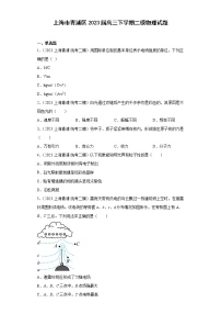 上海市青浦区2023届高三下学期二模物理试题