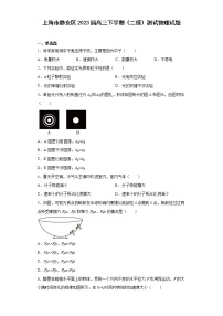 上海市静安区2023届高三下学期（二模）测试物理试题