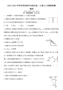 2022-2023学年河南省焦作市高中高一上期11月模拟检测物理试卷