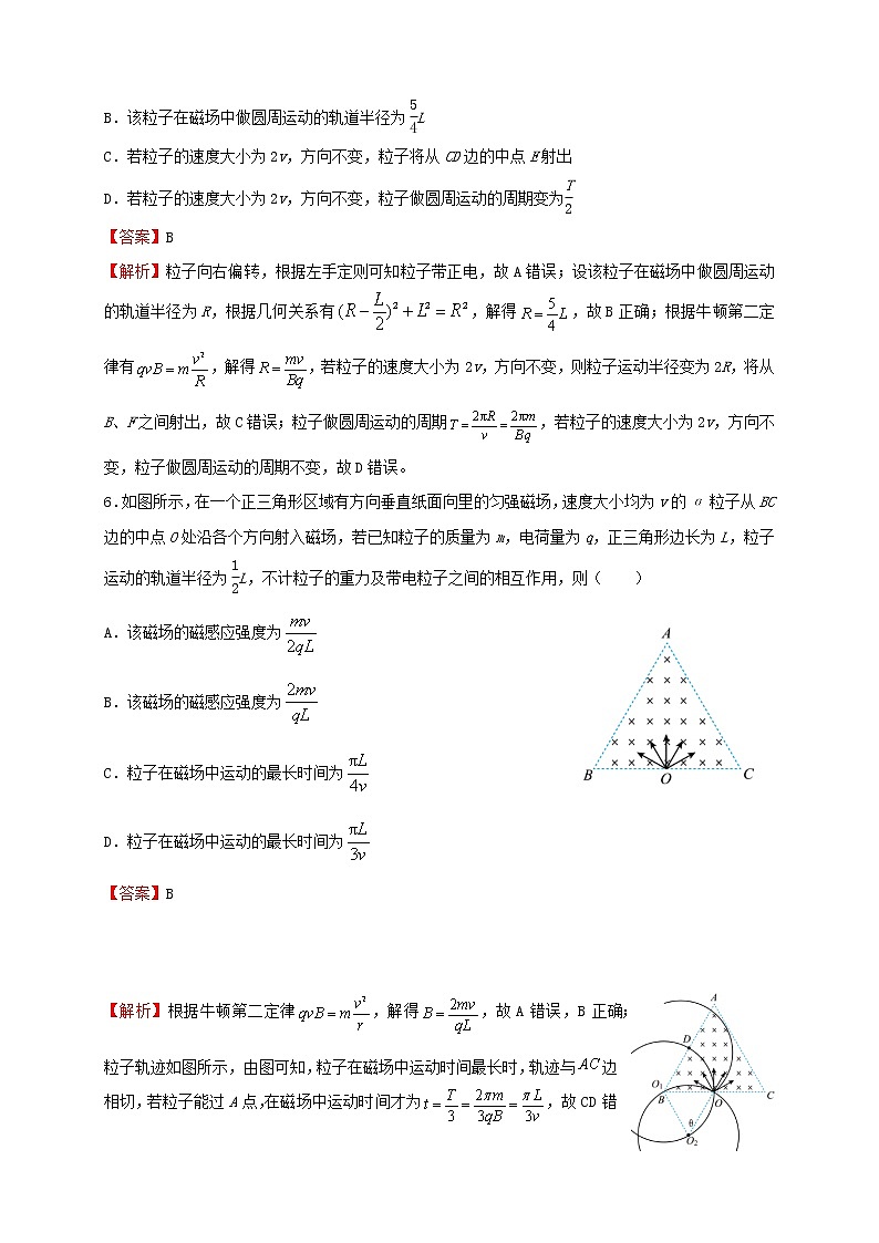 新高考物理二轮专题 磁场的性质及带电粒子在磁场中运动第3页