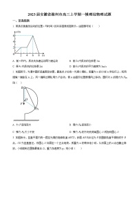 2022-2023学年安徽省滁州市高三上学期一模物理试题（原卷+解析版）