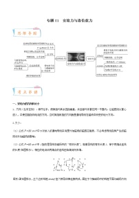 专题01 安培力与洛伦兹力-2022-2023学年高二物理下学期期中期末考点大串讲（人教版2019）