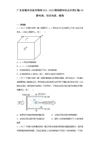 广东省梅州市高考物理2021-2022模拟题知识点分类汇编-04静电场、恒定电流、磁场