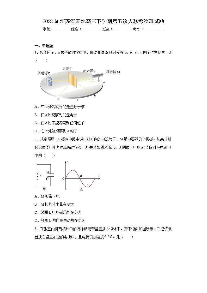 2023届江苏省基地高三下学期第五次大联考物理试题 (1)01
