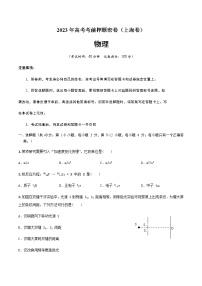 2023年高考考前押题密卷-物理（上海卷）（A4考试版）