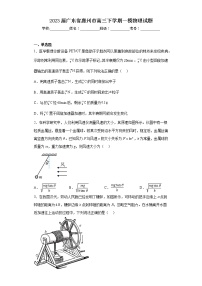 2023届广东省惠州市高三下学期一模物理试题