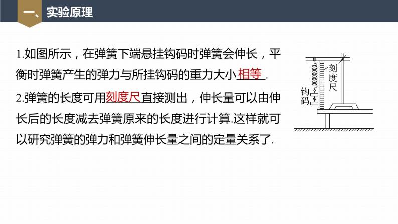 高中物理新教材同步必修第一册课件+讲义 第3章　实验：探究弹簧弹力与形变量的关系07