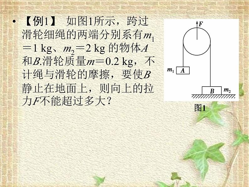 2022-2023年高考物理二轮复习 中学物理思想与常用方法课件(重点难点易错点核心热点经典考点)第4页