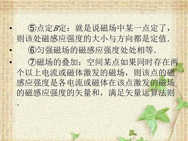 2022-2023年高考物理二轮复习 磁场课件(重点难点易错点核心热点经典考点)04