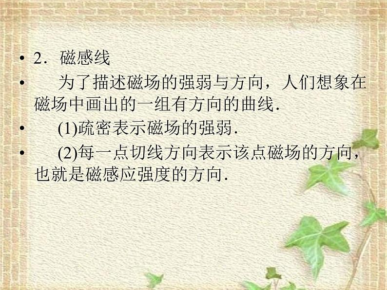 2022-2023年高考物理二轮复习 磁场课件(重点难点易错点核心热点经典考点)05