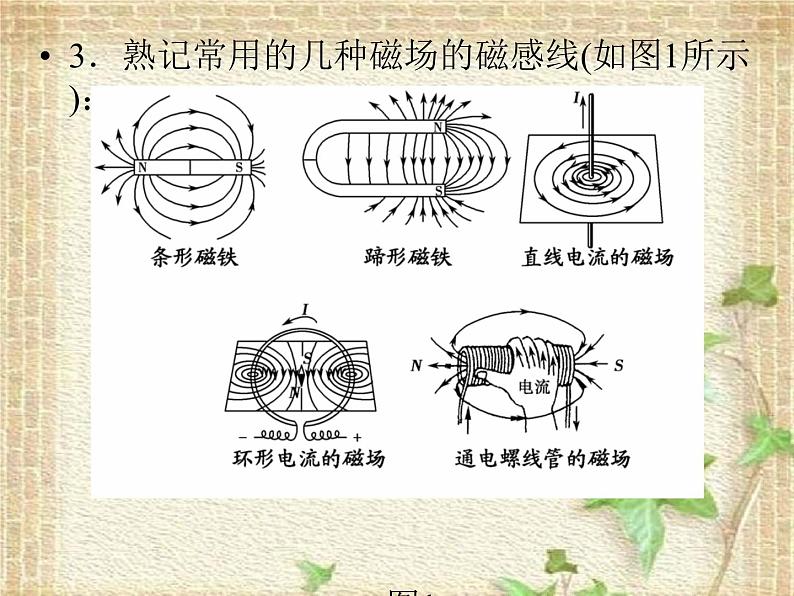 2022-2023年高考物理二轮复习 磁场课件(重点难点易错点核心热点经典考点)07