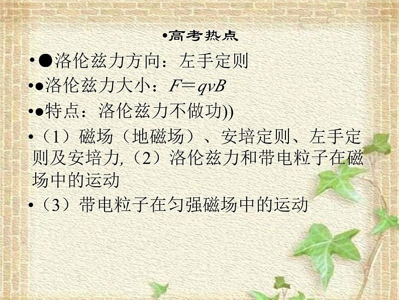 2022-2023年高考物理二轮复习 磁场中常考的3个问题课件(重点难点易错点核心热点经典考点)03