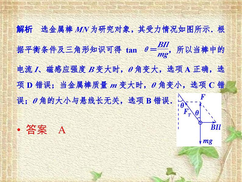 2022-2023年高考物理二轮复习 磁场中常考的3个问题课件(重点难点易错点核心热点经典考点)08