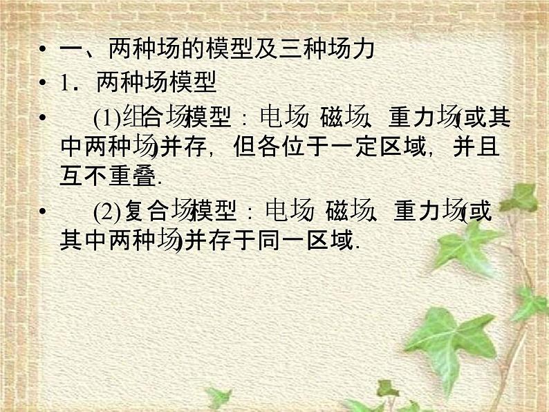 2022-2023年高考物理二轮复习 带电粒子在复合场中的运动常考的2个问题课件(重点难点易错点核心热点经典考点)第3页