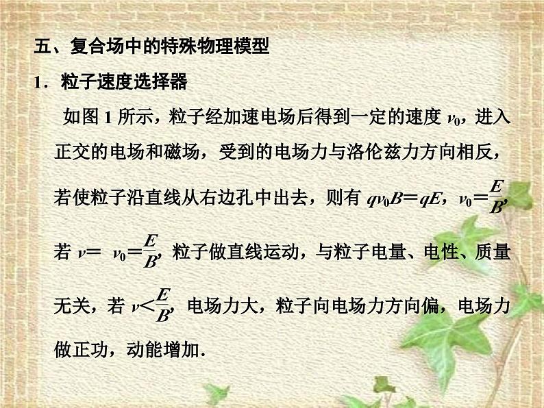 2022-2023年高考物理二轮复习 粒子在复合场中的运动课件(重点难点易错点核心热点经典考点)第8页