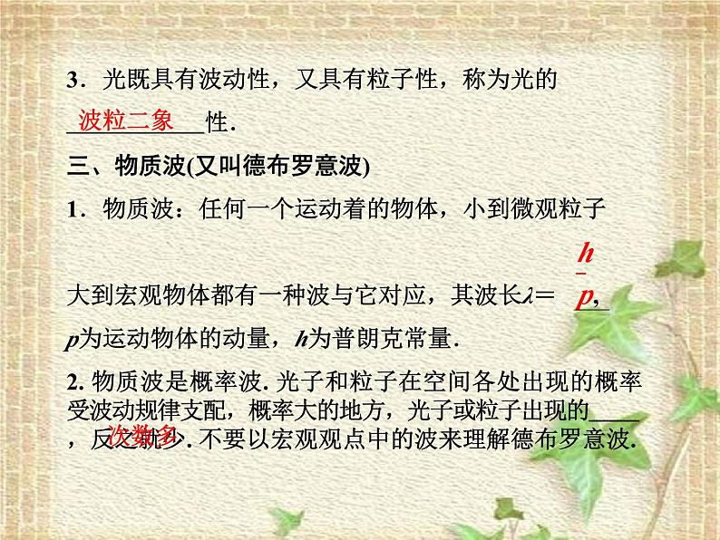 2022-2023年高考物理一轮复习 波粒二象性课件(重点难点易错点核心热点经典考点)第6页