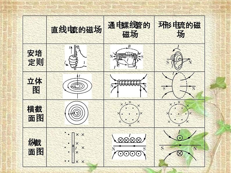 2022-2023年高考物理一轮复习 磁场的描述 磁场对电流的作用课件(重点难点易错点核心热点经典考点)07