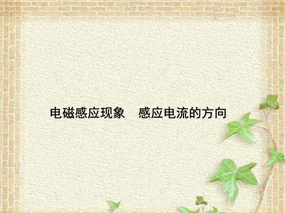 2022-2023年高考物理一轮复习 电磁感应现象 感应电流的方向课件(重点难点易错点核心热点经典考点)第1页