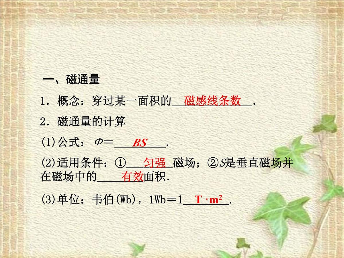 2022-2023年高考物理一轮复习 电磁感应现象 感应电流的方向课件(重点难点易错点核心热点经典考点)第2页