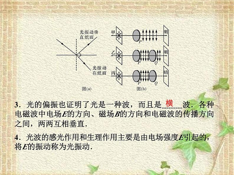 2022-2023年高考物理一轮复习 光的波动性课件(重点难点易错点核心热点经典考点)第6页