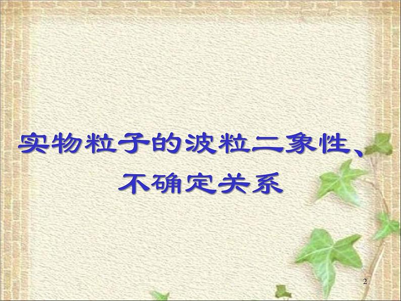 2022-2023年高考物理一轮复习 粒子的波动性课件(重点难点易错点核心热点经典考点)02