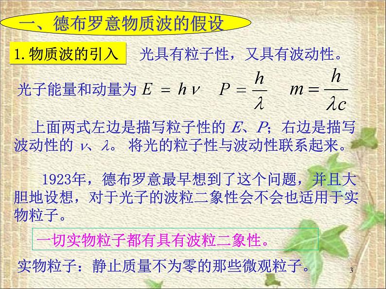 2022-2023年高考物理一轮复习 粒子的波动性课件(重点难点易错点核心热点经典考点)03