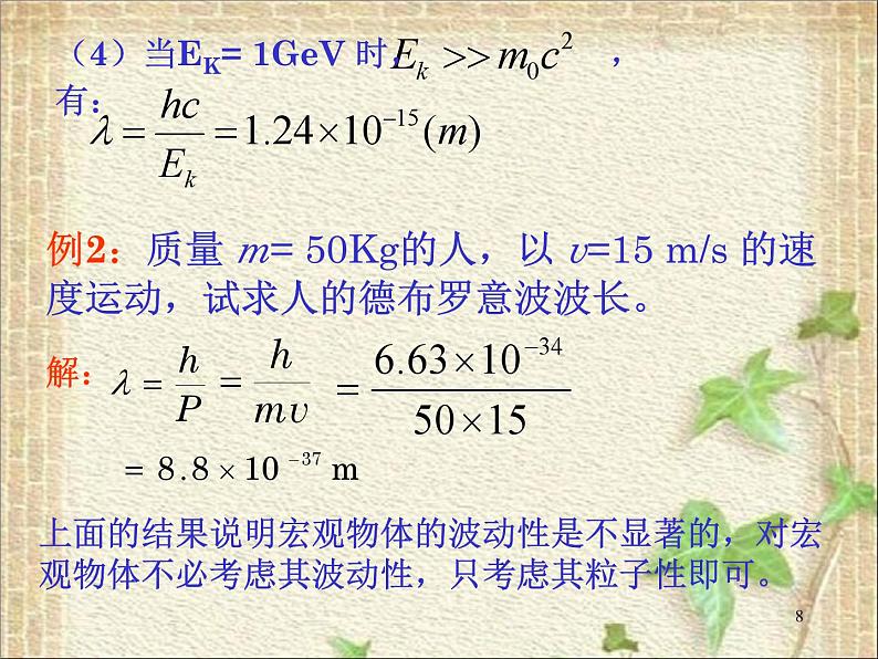 2022-2023年高考物理一轮复习 粒子的波动性课件(重点难点易错点核心热点经典考点)08