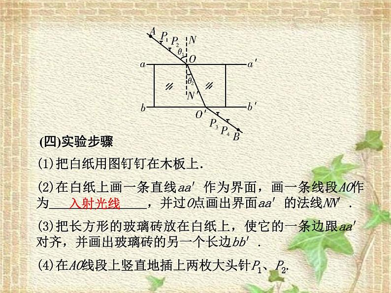 2022-2023年高考物理一轮复习 实验：测定玻璃的折射率课件(重点难点易错点核心热点经典考点)第3页