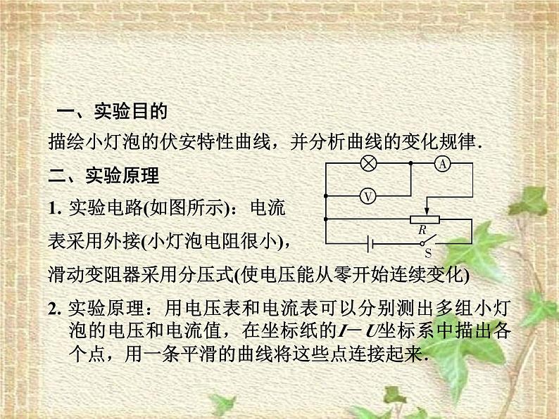 2022-2023年高考物理一轮复习 实验：描绘小灯泡的伏安特性曲线课件(重点难点易错点核心热点经典考点)第2页