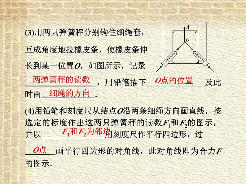 2022-2023年高考物理一轮复习 实验：验证力的平行四边形定则,探究弹力与弹簧伸长的关系课件(重点难点易错点核心热点经典考点)04