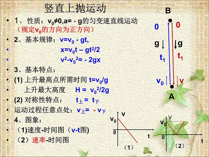 2022-2023年高考物理一轮复习 竖直上抛运动课件(重点难点易错点核心热点经典考点)第3页