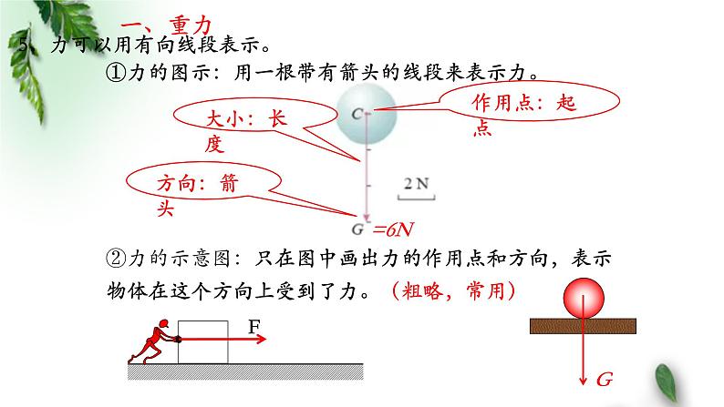 2022-2023年人教版(2019)新教材高中物理必修1 第3章相互作用-力第1节重力与弹力(1)课件07