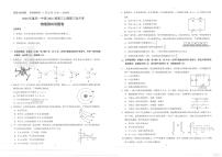 2021届重庆市第一中学校高三上学期第三次月考物理试题 PDF版