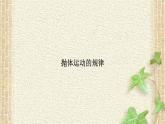 2022-2023年人教版(2019)新教材高中物理必修2 第5章抛体运动第4节抛体运动的规律(1)课件