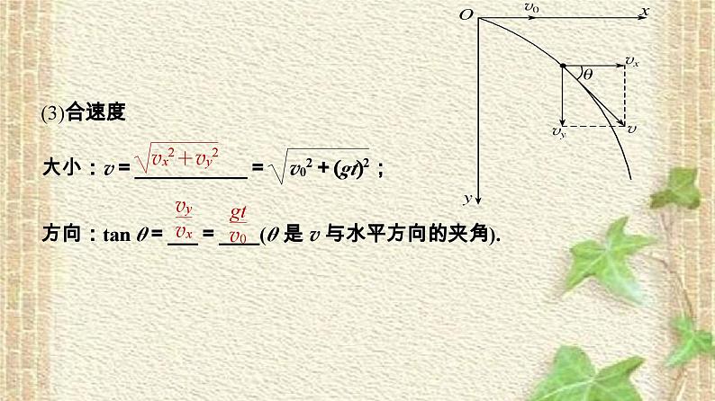 2022-2023年人教版(2019)新教材高中物理必修2 第5章抛体运动第4节抛体运动的规律(1)课件第3页