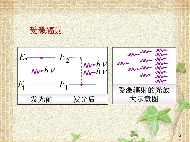 2022-2023年人教版(2019)新教材高中物理选择性必修1 第4章光第6节光的偏振激光课件第6页