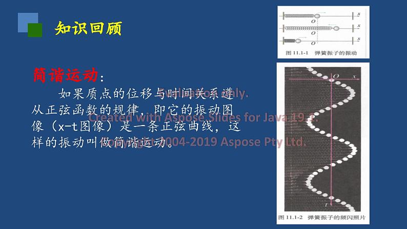 2022-2023年人教版(2019)新教材高中物理选择性必修1 第2章机械振动第2节简谐运动的描述课件02