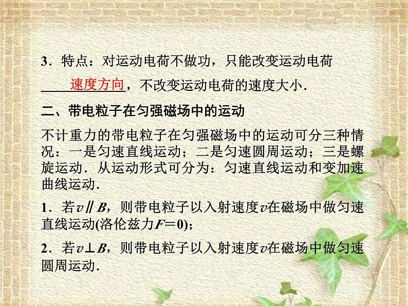 2022-2023年人教版(2019)新教材高中物理选择性必修2 第1章安培力与洛伦兹力第2节磁场对运动电荷的作用力(1)课件第3页