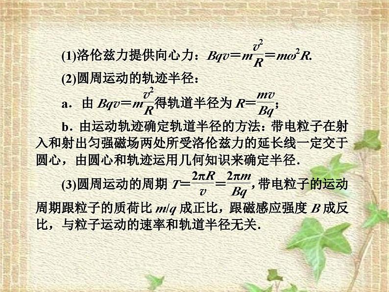 2022-2023年人教版(2019)新教材高中物理选择性必修2 第1章安培力与洛伦兹力第2节磁场对运动电荷的作用力(1)课件第4页