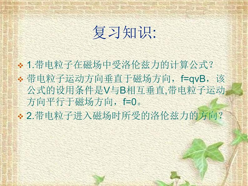 2022-2023年人教版(2019)新教材高中物理选择性必修2 第1章安培力与洛伦兹力第2节磁场对运动电荷的作用力课件02