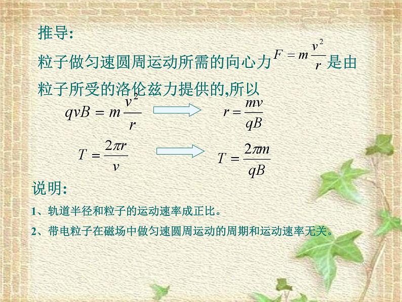 2022-2023年人教版(2019)新教材高中物理选择性必修2 第1章安培力与洛伦兹力第2节磁场对运动电荷的作用力课件08