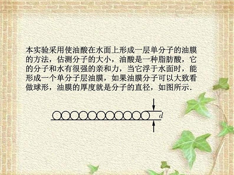 2022-2023年人教版(2019)新教材高中物理选择性必修3 第1章分子动理论第2节实验：用油膜法估测油酸分子的大小课件第3页