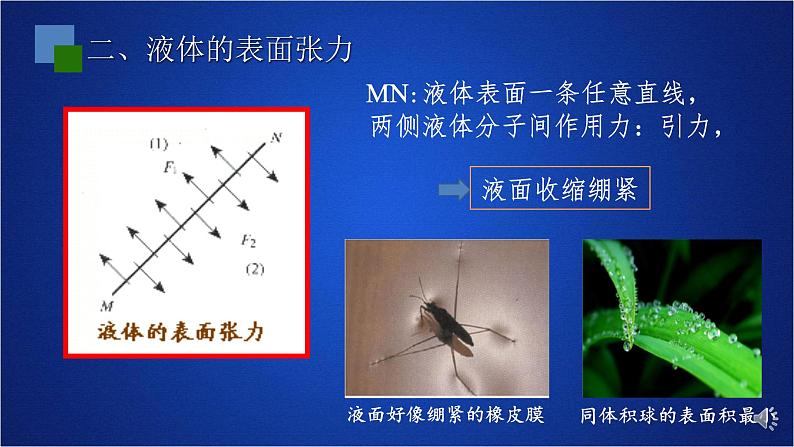 2022-2023年人教版(2019)新教材高中物理选择性必修3 第2章气体固体和液体第5节液体课件05