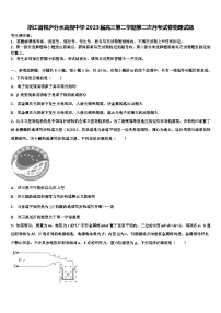 浙江省桐庐分水高级中学2023届高三第二学期第二次月考试卷物理试题